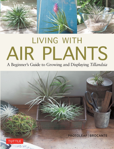 Living with Air Plants - Yoshiharu Kashima (Protoleaf), Yukihiro Matsuda (Brocante)