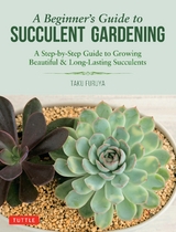 Beginner's Guide to Succulent Gardening - Taku Furuya