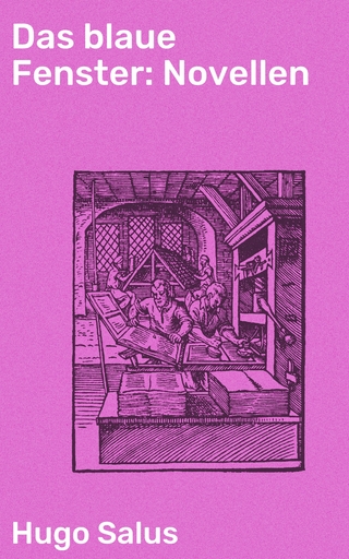 Das blaue Fenster: Novellen