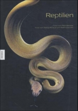 Reptilien - Paul Starosta, Teddy Moncuit, Karim Daoues