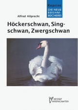 H&ouml;ckerschwan, Singschwan, Zwergschwan - Alfred Hilprecht