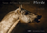 Pferde - 