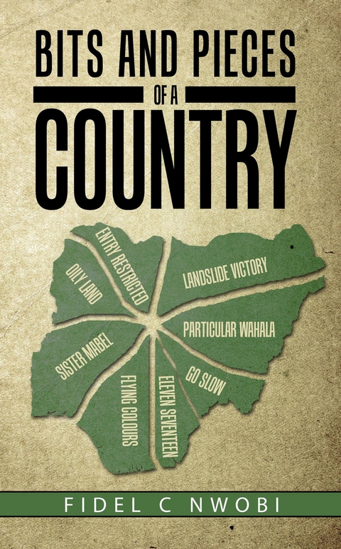 Bits and Pieces of a Country - Fidel C Nwobi