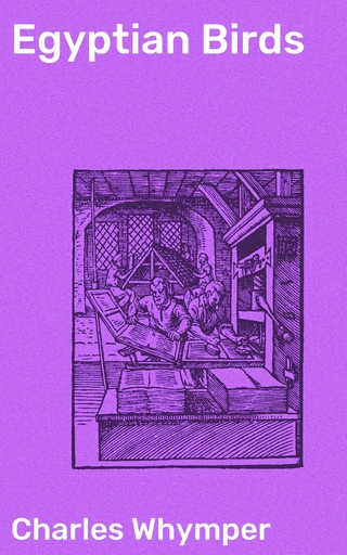 Egyptian Birds