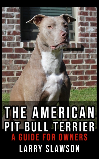 The American Pit Bull Terrier
