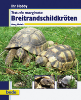 Breitrandschildkr&ouml;ten - Georg Mirlach