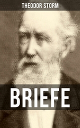 BRIEFE -  Theodor Storm