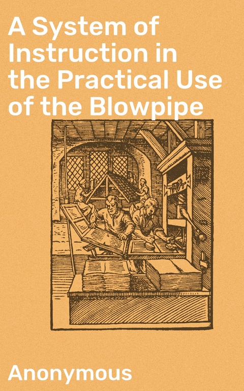 A System of Instruction in the Practical Use of the Blowpipe -  Anonymous