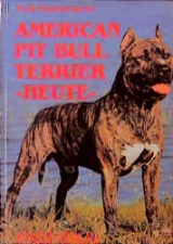 American Pit Bull Terrier heute - Todd Fenstermacher