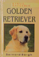 Golden Retriever - Bernhard Bargh
