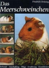 Das Meerschweinchen - Friedrich Br&uuml;ning