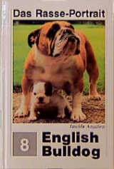 English Bulldog - Imelda Angehrn