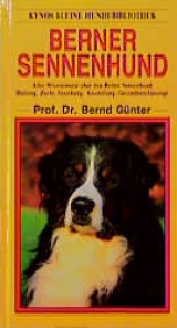 Berner Sennenhund - Bernd G&uuml;nter