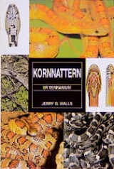 Kornnattern im Terrarium - Jerry G Walls