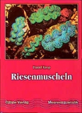 Riesenmuscheln - Daniel Knop