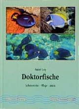 Doktorfische - Andr&eacute; Luty