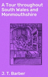 A Tour throughout South Wales and Monmouthshire - J. T. Barber