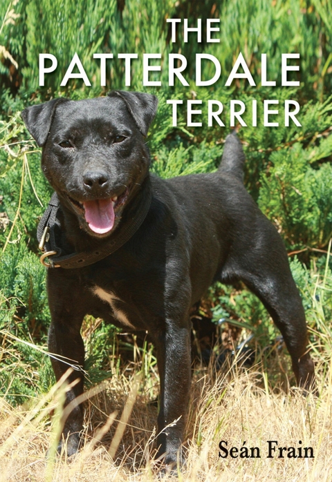 Patterdale Terrier -  Sean Frain