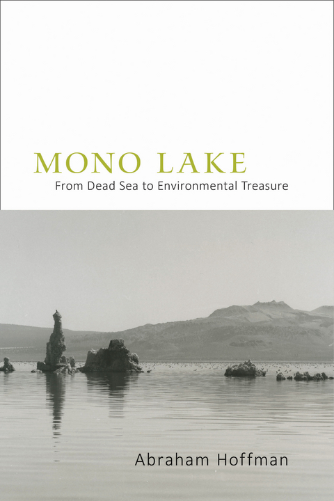 Mono Lake -  Abraham Hoffman