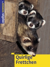 Quirlige Frettchen - Ulrich, Martin