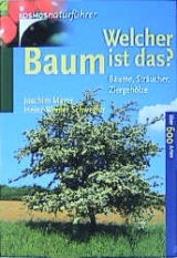 Welcher Baum ist das? - Joachim Mayer, Heinz W Schwegler