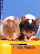 Flinke Mäuse - Steinkamp, Anja
