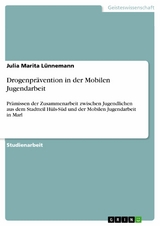 Drogenpr&auml;vention in der Mobilen Jugendarbeit - Julia Marita L&uuml;nnemann