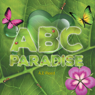 Abc Paradise