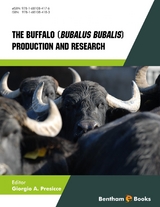 Buffalo Bubalus bubalis - Production and Research - 
