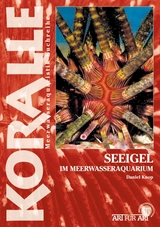 Seeigel im Meerwasseraquarium - Daniel Knop