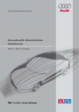 Aeroakustik &uuml;berstr&ouml;mter Hohlr&auml;ume - Martin Brennberger