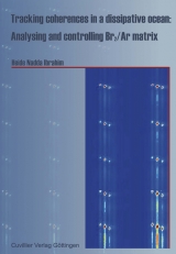 Tracking coherences in a dissipative ocean: Analysing and controlling Br2/Ar matrix - Heide Ibrahim