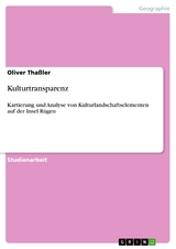 Kulturtransparenz - Oliver Tha&szlig;ler
