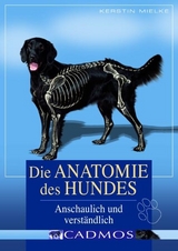 Die Anatomie des Hundes - Kerstin Mielke