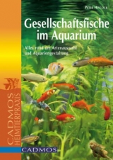 Gesellschaftsfische im Aquarium - Peter Hiscock