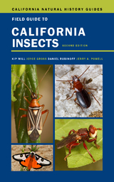 Field Guide to California Insects -  Kip Will