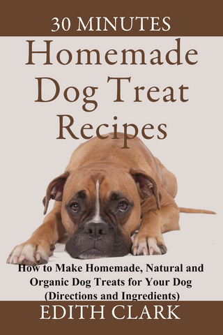 Homemade Dog Treat Recipes