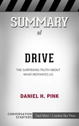 Summary of Drive - Paul Mani