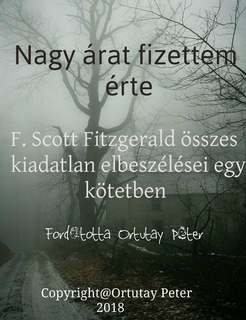 Nagy &aacute;rat fizettem &eacute;rte - Scott Fitzgerald