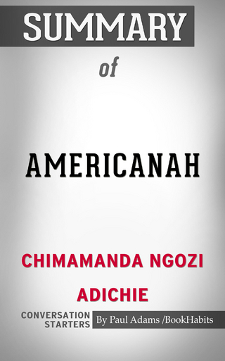 Summary of Americanah