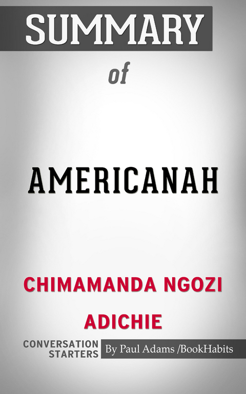 Summary of Americanah - Paul Adams