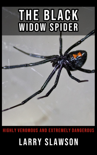 The Black Widow Spider