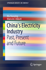 China&rsquo;s Electricity Industry - Ma Xiaoying, Malcolm Abbott