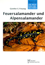 Feuersalamander und Alpensalamander - G&uuml;nther E Freytag