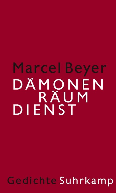 D&auml;monenr&auml;umdienst - Marcel Beyer