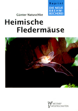 Heimische Flederm&auml;use - G&uuml;nter Natuschke