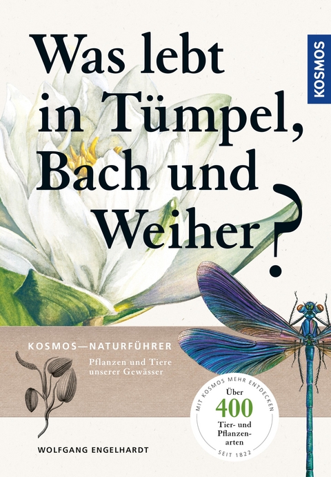 Was lebt in T&uuml;mpel, Bach und Weiher - Wolfgang Engelhardt, Peter Martin, Klaus Rehfeld