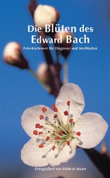 Edition Tirta: Kartenset Die Blüten des Edward Bach - Helmut Maier