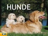 Hunde - Derek Hall