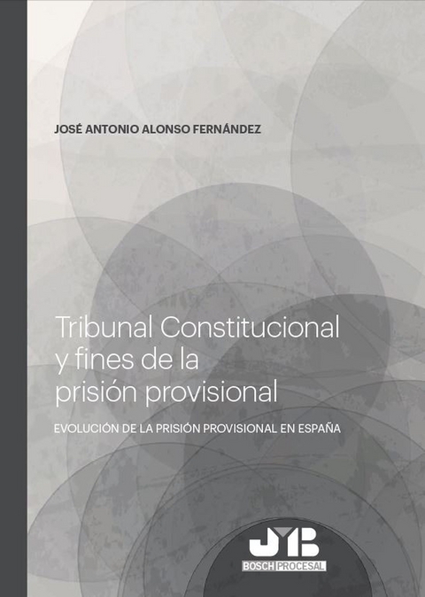 Tribunal Constitucional y fines de la prisi&oacute;n provisional -  Jose Antonio Alonso Fernandez